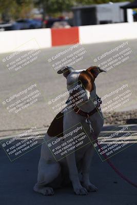 media/Oct-21-2023-Speed Ventures (Sat) [[ddf75163c5]]/Around the Pits/